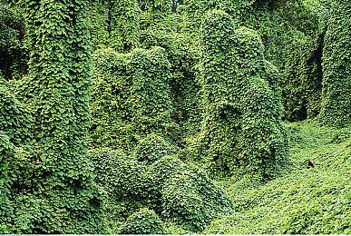 被R星取消的游戏《特工》水下截图曝光